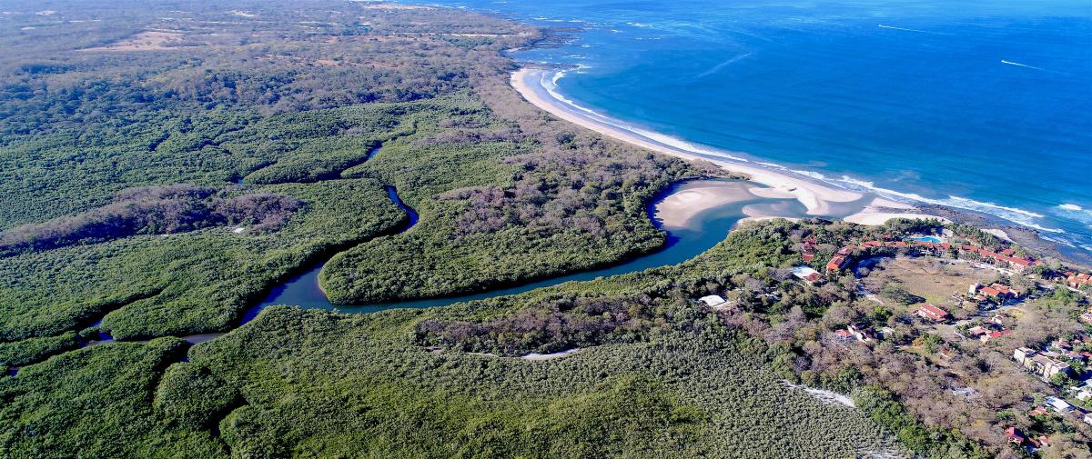 Condos and Townhomes Tamarindo