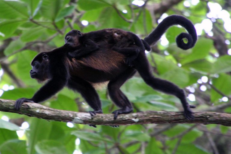 Having a baby, it’s a big deal! How about in Costa Rica?