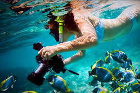 Diving in Costa Rica