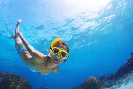 Diving and snorkeling in Costa Rica Image 2