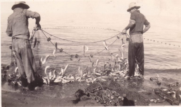 Tamarindo history and development