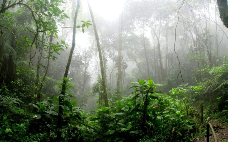 Variety of microclimates in Costa Rica