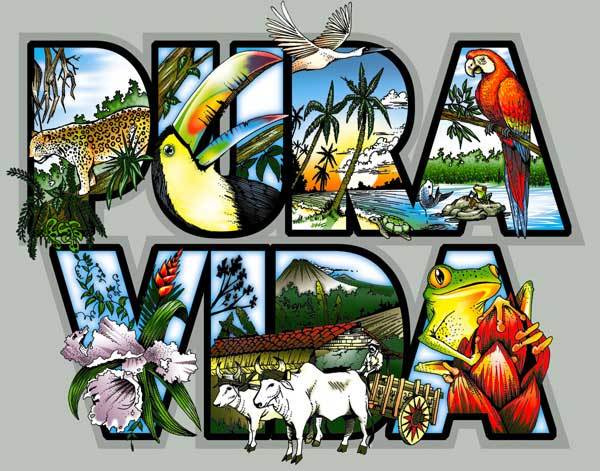 Image of words Pura Vida