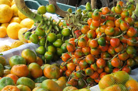 July is the best month for gardening in Costa Rica Image 1