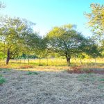 27 de Abril Land ~ Prime Land Opportunity with Main Road Frontage