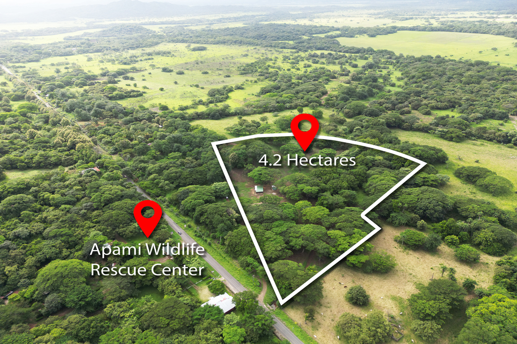 4.2 Hectare Mountain View Ranch ~ Sunrise & Sunset Vistas with Stables, Water & Unrestricted Usage