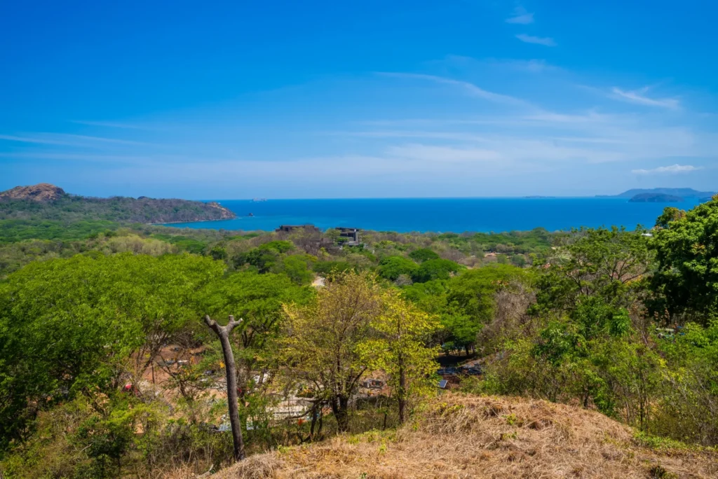 Punta Playa Vistas Image 1