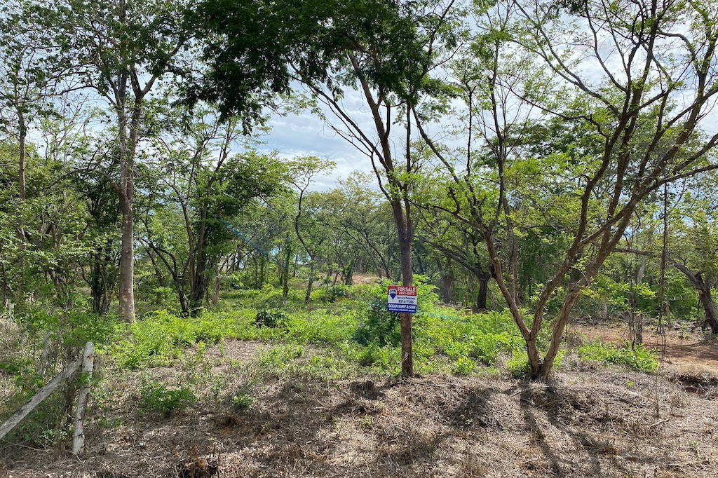 Beautiful Mixed Usage Lot in the Heart of Playa Grande! — Photo 1