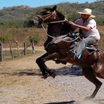 Black Stallion Hills ~ Equestrian residential community just a few minutes from Tamarindo