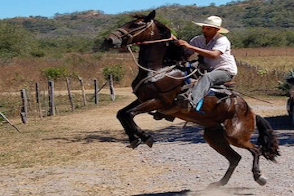 Black Stallion Hills ~ Equestrian residential community just a few minutes from Tamarindo
