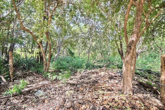 1581m2 lot – ready to build! — Photo 1