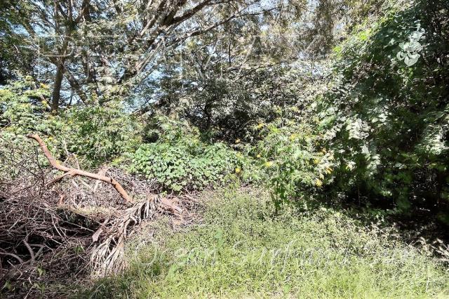 #7 Estuary Lot – 300m from the beach — Photo 1