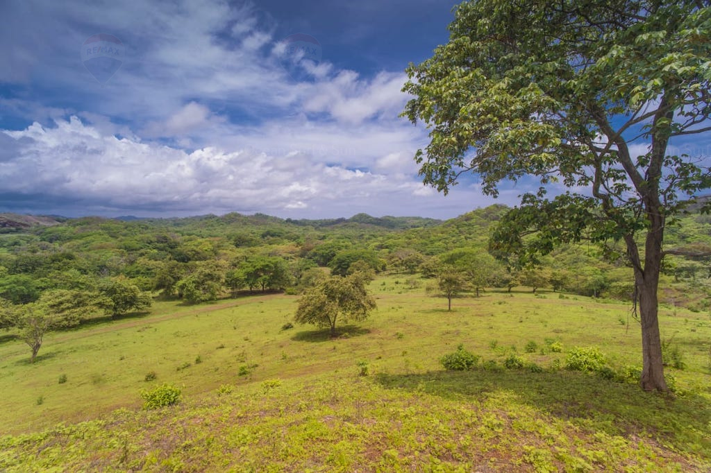 Finca Los Tres Leches ~ Development Opportunity