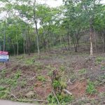 Lote Boutino ~ Residential/Commercial 3,000m2 Lot