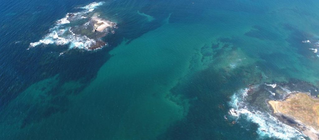 Playa Avellanas