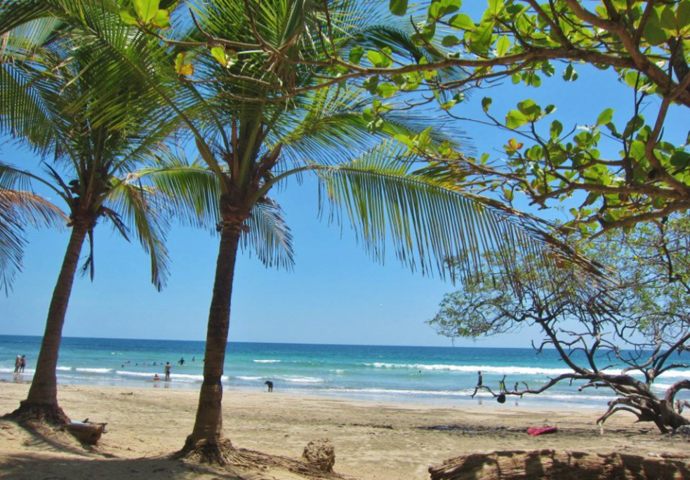Playa Avellanas — Photo 1