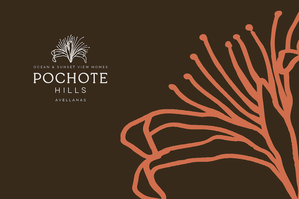 Avellanas From Above ~ Discover Pochote Hills