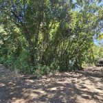 Rancho Las Colinas ~ Charming Rural Lot Minutes from the Coast