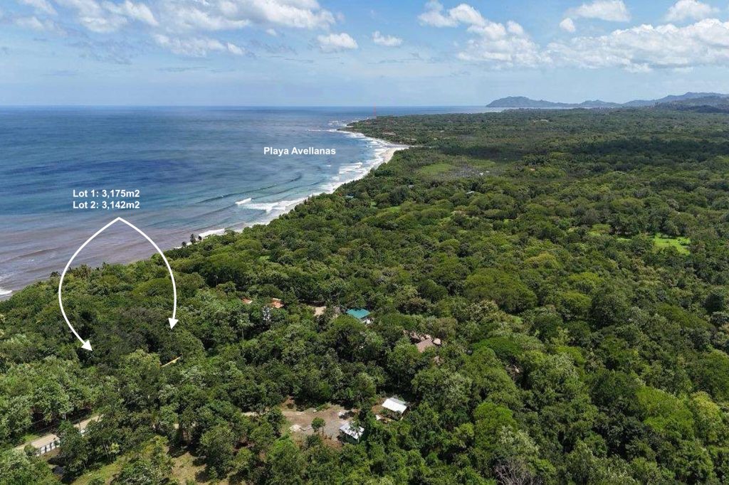 Beachfront Lots in Playa Avellanas
