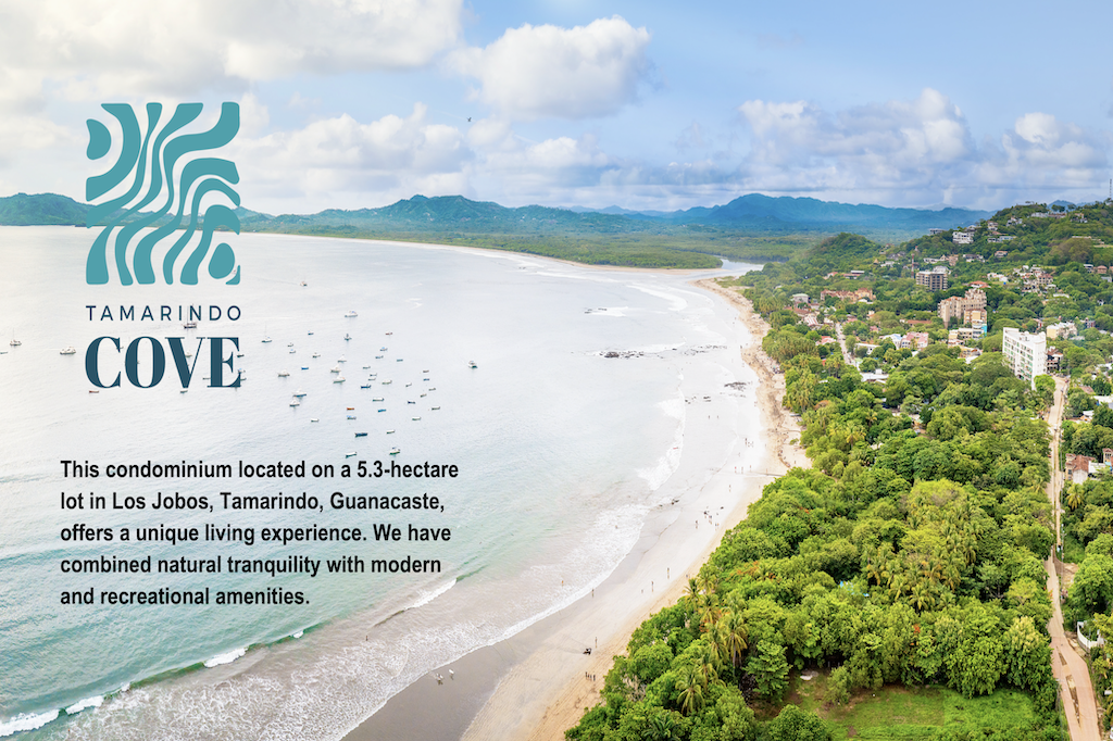 Tamarindo Cove Image 1