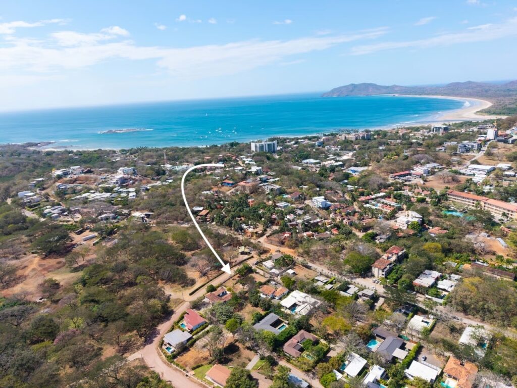 Norma Tamarindo Image 1